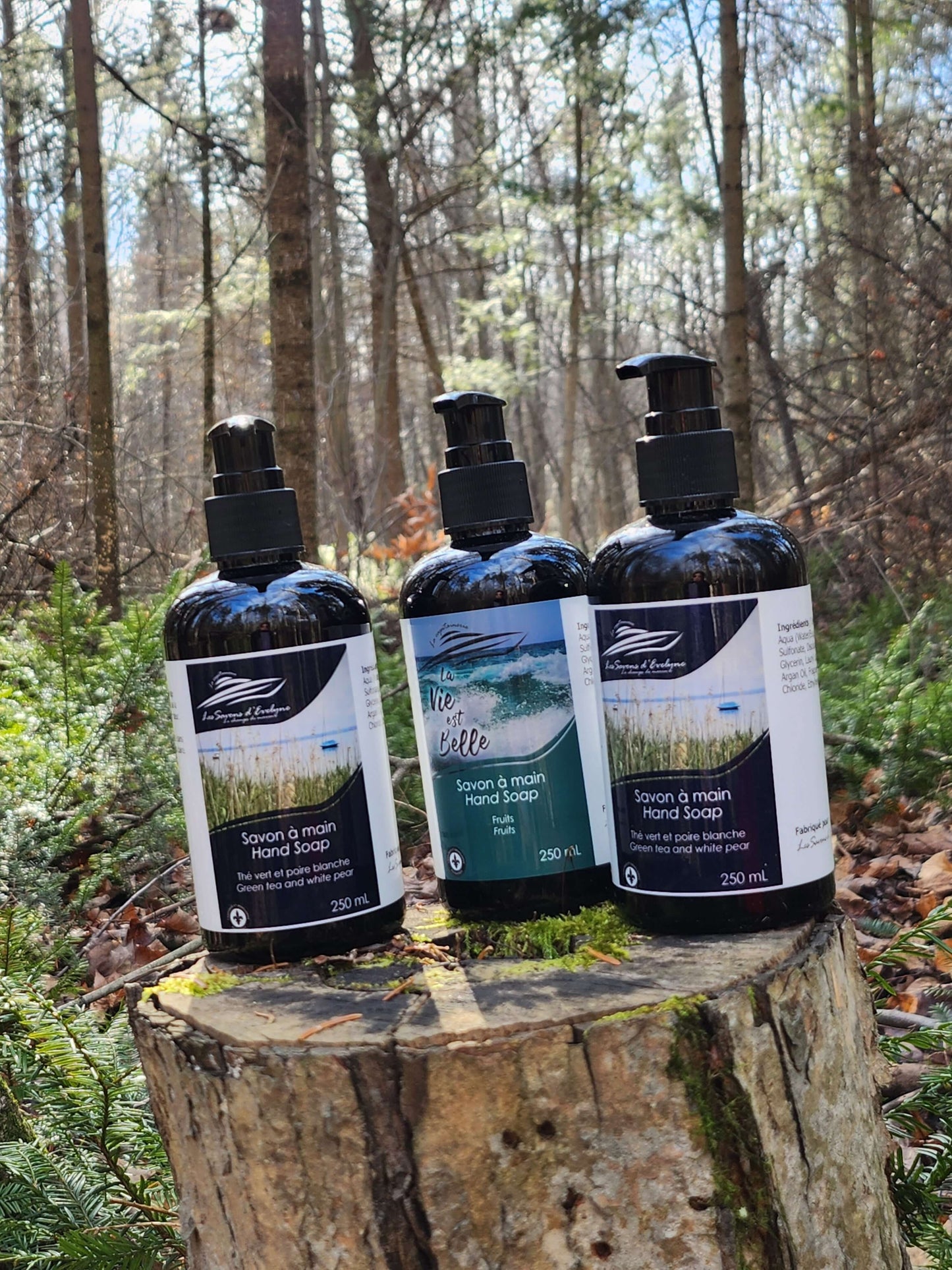 Savon à main La vie est belle, avec huile d'argan | les savons d'Evelyne et la capitainerie